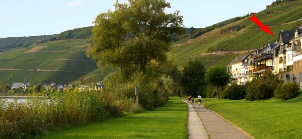 Ferienhaus Inselblick - Ferienwohnungen in schnster Mosellage