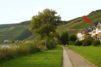 Ferienhaus Inselblick Zell Mosel